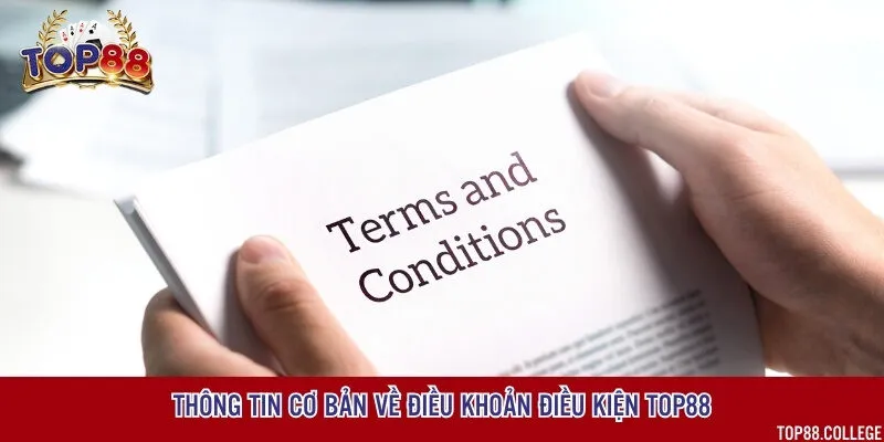 Các điều khoản quy định rõ trách nhiệm của người chơi khi tham gia cổng game